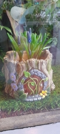 FAIRY HOUSE PLANTER AND PLANT